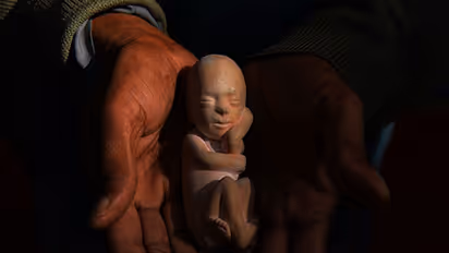 Odisha: Kicked on stomach, woman suffers miscarriage; woman IPS officer booked