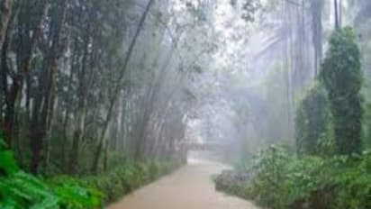 ബംഗാൾ ഉൾക്കടലിൽ ന്യൂനമര്ദ്ദം; സംസ്ഥാനത്ത് പരക്കെ നാളെ ശക്തമായ മഴ