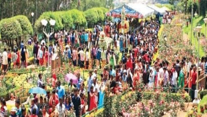 ஊட்டியில் தேனீ போல குவியும் சுற்றுலாப் பயணிகள்; மூன்று நாட்களில் 45 ஆயிரத்து 746 பேர் வருகை; வியாபாரிகள் மகிழ்ச்சி...