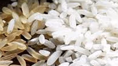 ಪ್ಲಾಸ್ಟಿಕ್ ಅಕ್ಕಿಯನ್ನು ಗುರುತಿಸುವುದು ಹೇಗೆ? ಇಲ್ಲಿವೆ 5 ಸರಳ ವಿಧಾನಗಳು