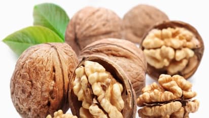 முடி வளர்ச்சிக்கு பெரும் பங்காற்றும் வால்நட்டின் மற்ற மருத்துவ குணங்கள் இதோ…