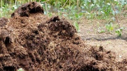 எருவை இப்படி உருவாக்கினால்தான் மண்புழு உரம் தயாரிக்க சுலபமாக இருக்கும்...