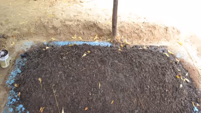 மண்புழு உரத்தில் இவ்வளவு பயிர்ச் சத்துக்கள் அடங்கியுள்ளன...