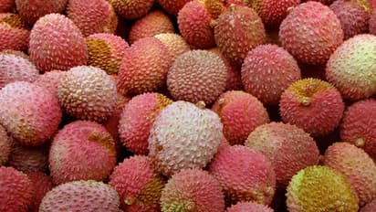 This fruit has been killing kids in Muzaffarpur for 22 years