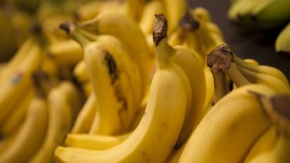 எந்த வாழைப்பழம் உடலுக்கு ஆரோக்கியம் தரும்? பழுத்த வாழைப்பழமா? பழுக்காததா? 