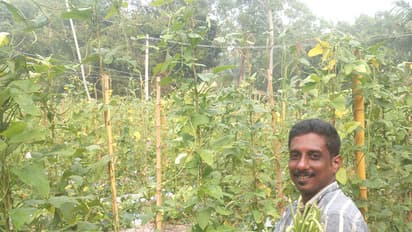 കൃഷിയില് വ്യത്യസ്ത പരീഷണങ്ങളുമായി യുവകർഷകൻ നിഷാദ്