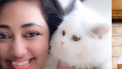 This photo is proof of how much wife Vijayalakshmi loves Darshan