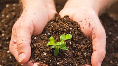 இதெல்லாம் செய்தால் மண் வளம் உச்சத்தில் இருக்கும்... பிறகு பொன்னு விளையுற பூமிதான்...