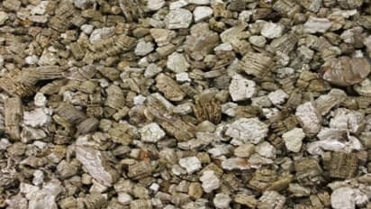 விவசாயத்தில் முழு பலனை அனுபவிக்க “வெர்மிகுலைட்டை” பயன்படுத்துங்க…