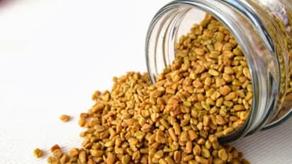 சமையலுக்கு பயன்படும் வெந்தயத்தில் இருக்கும் இந்த மருத்துவ குணங்கள்தான் அவற்றிற்கு தனித்துவத்தை தருகின்றன...