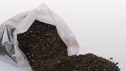 Amid famine and drought, farmers given expired manure