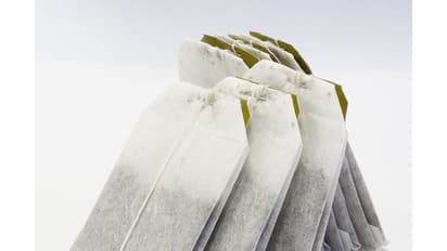 এই ব্যক্তিদের টি ব্যাগের চা পান করা উচিত নয়, হতে পারে মারাত্মক ক্ষতি