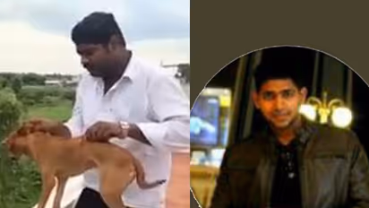 Chennai dog throwing: FIR filed against accused