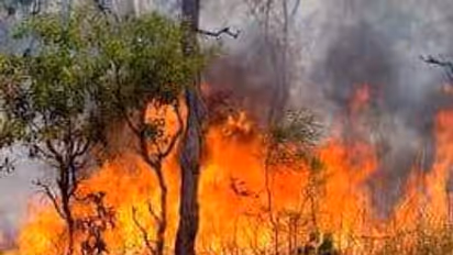 Jammu and Kashmir: BJP candidates under attack; crops burnt, house doused with petrol