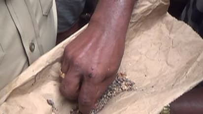 6 arrested including a fake journalist for selling Ganja