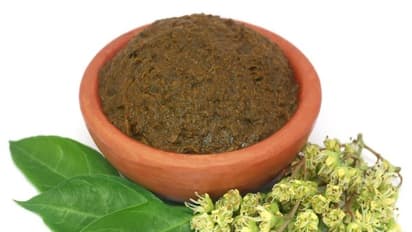 இந்த ஐந்து முக்கியமான பிரச்சனைகளுக்கும் தீர்வு ஒன்றுதான் - மருதாணி...