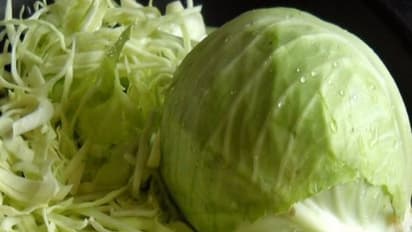 உங்களுக்குத் தெரியுமா? முட்டைக்கோஸைத் தொடர்ந்து சாப்பிட்டால் கணையப் புற்றுநோய் வராது....