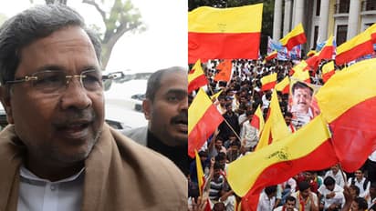 CM takes a dig at Shiv Sena for its State Flag comment