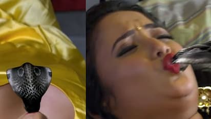 (video) స్నేక్ కిస్ స్ స్ స్ ... సోషల్ మీడియాలో వైరల్