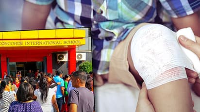 Close shave for four students after glass panels fall on them in school