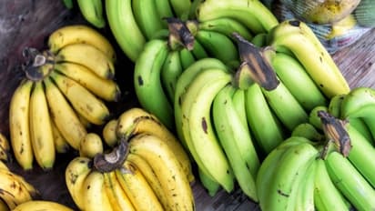 புகைப்பிடித்தலை நிறுத்த முடியலையா? வாழைப்பழம் சாப்பிடுங்க…