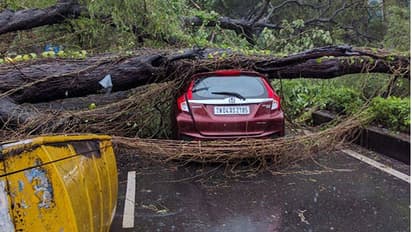 Heavy rains hit southern Kerala as state braces for cyclone Ockhi