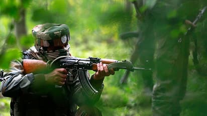 Operation Clean Up: Army launches massive anti-militant operation to flush out terrorists in Kashmir