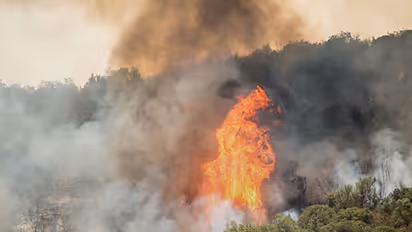 ಕಾಡಿಗೆ ಬೆಂಕಿ ಬಿದ್ದ ಕ್ಷಣದಲ್ಲೇ ಉಪಗ್ರಹದಿಂದ ಸಂದೇಶ!