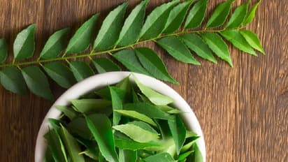 கறிவேப்பிலையை இப்படி பயன்படுத்தினால் முடி கொட்டுதல் வெகுவாக குறையும்...