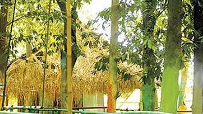 Woman alleges rape attempt at Kalabhavan Mani's Chalakudy outhouse