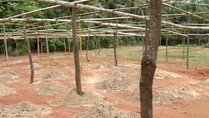 ഒരു ലോഡ് മണ്ണ് പോലും ഇറക്കാതെ വയല് നികത്താന് പുതിയ രീതിയുമായി ഭൂവുടമകള്