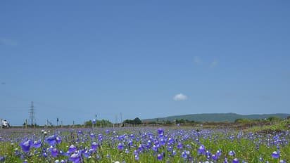 മാടായിപ്പാറയുടെ കഥകള്‍; കാഴ്ചകളും!