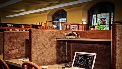 Digitisation, building restoration on anvil for Hardinge lib