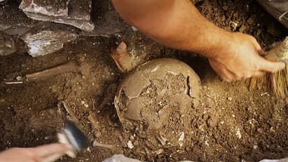 Chance discovery in Nellore unearths 3,500-yr-old mass burial ground