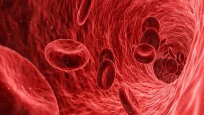 உங்களுக்குத் தெரியுமா? இரும்புச்சத்து அதிகமாக இருந்தால் சிவப்பணுக்களின் எண்ணிக்கையும் அதிகமாக இருக்கும்...