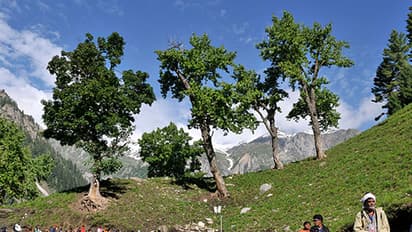 Amarnath Yatra: Steady flow of pilgrims on first 2-days