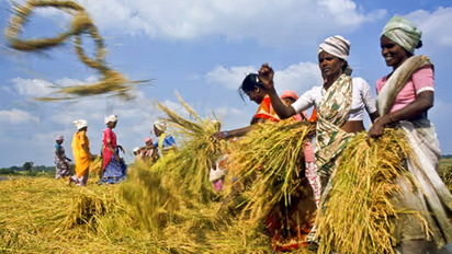 Siddaramaiah's 'Bhagyas': Boon to the corrupt, bane to beneficiaries