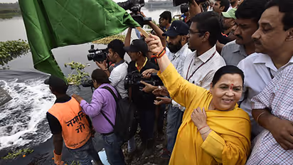 No Uma Bharti, pollution did not blind Ganga's dolphins