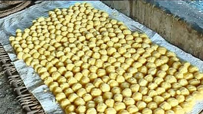 ಬೆಲ್ಲದ ಬಣ್ಣ ನೋಡಿ ಮೋಸ ಹೋದೀರಾ ಜೋಕೆ!: ಹಳೆ ಬೆಲ್ಲ, ಸಕ್ಕರೆಗೆ ಗೊಬ್ಬರ ಕಲಬೆರಕೆ..!