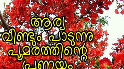 വീണ്ടും ആര്യ പാടുന്നു; പൂമരത്തിന്‍റെ പ്രണയം