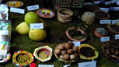 2.5 lakh people throng Krishi Mela