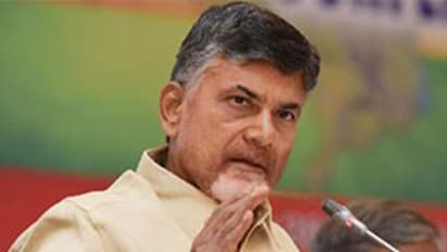 గోదావరి పుష్కరాల తొక్కిసలాటపై తేల్చేసిన కమిషన్