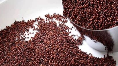 உங்களுக்குத் தெரியுமா? உயர் ரத்த அழுத்தத்தை குறைக்கும் சக்தி கேழ்வரகுக்கு உண்டு...