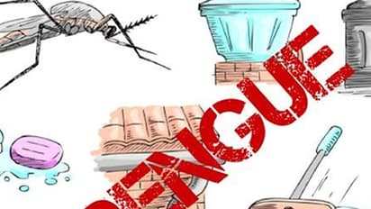 Bengaluru hospitals register record number of dengue, chikungunya and H1N1 cases