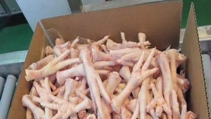 உஷார்...! இந்தியா வரும் "அமெரிக்க லெக் பீஸ்"..! நோயும் அதிகமாக போகுது...