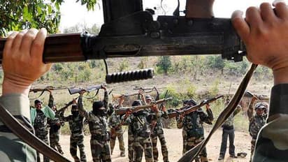 Security forces gun down naxal trying to recruit Dantewada locals