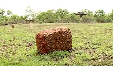 ഉദ്യോഗസ്ഥര്ക്ക് പറ്റിയ ഒരു അബദ്ധം; ഇനി എന്തെന്നറിയാതെ 12 കുടുംബങ്ങള്