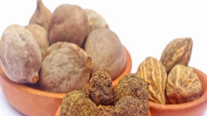 உங்களுக்குத் தெரியுமா? நோயில்லா நீடித்த வாழ்க்கையை பெற கடுக்காயை இப்படி சாப்பிடவும்...