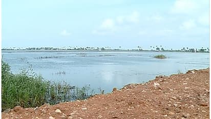 തോമസ് ചാണ്ടിയുടെ രാജി സിപിഎം ആവശ്യപ്പെടില്ല