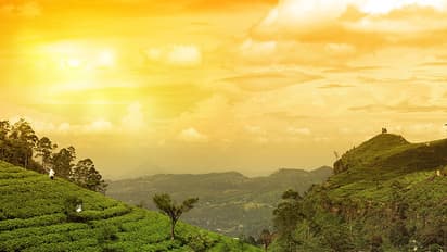 പരിസ്ഥിതി ലോല പ്രദേശം; മാനദണ്ഡങ്ങളില് മാറ്റമില്ലെന്ന് വനം മന്ത്രി